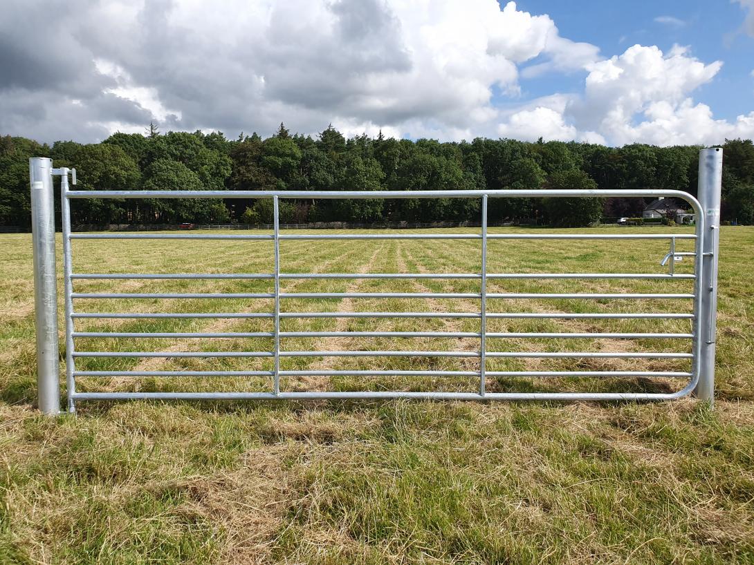 M4 Sheep Gate